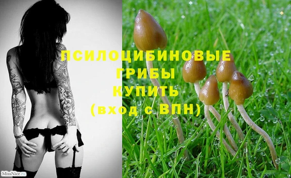 не бодяженный Магадан