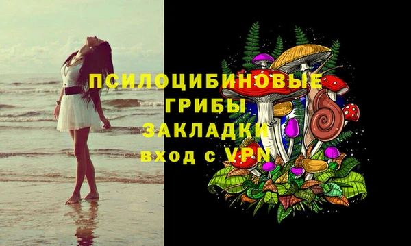 не бодяженный Магадан