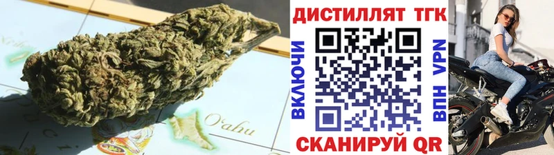 Купить где  Лобня  ТГК концентрат 