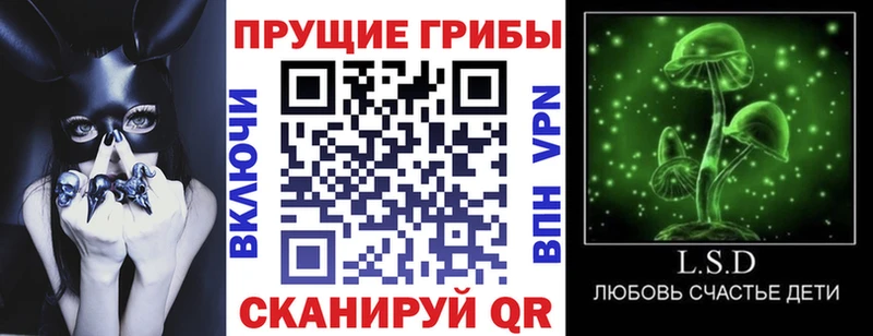 Купить где  Лобня  Псилоцибиновые грибы ЛСД 